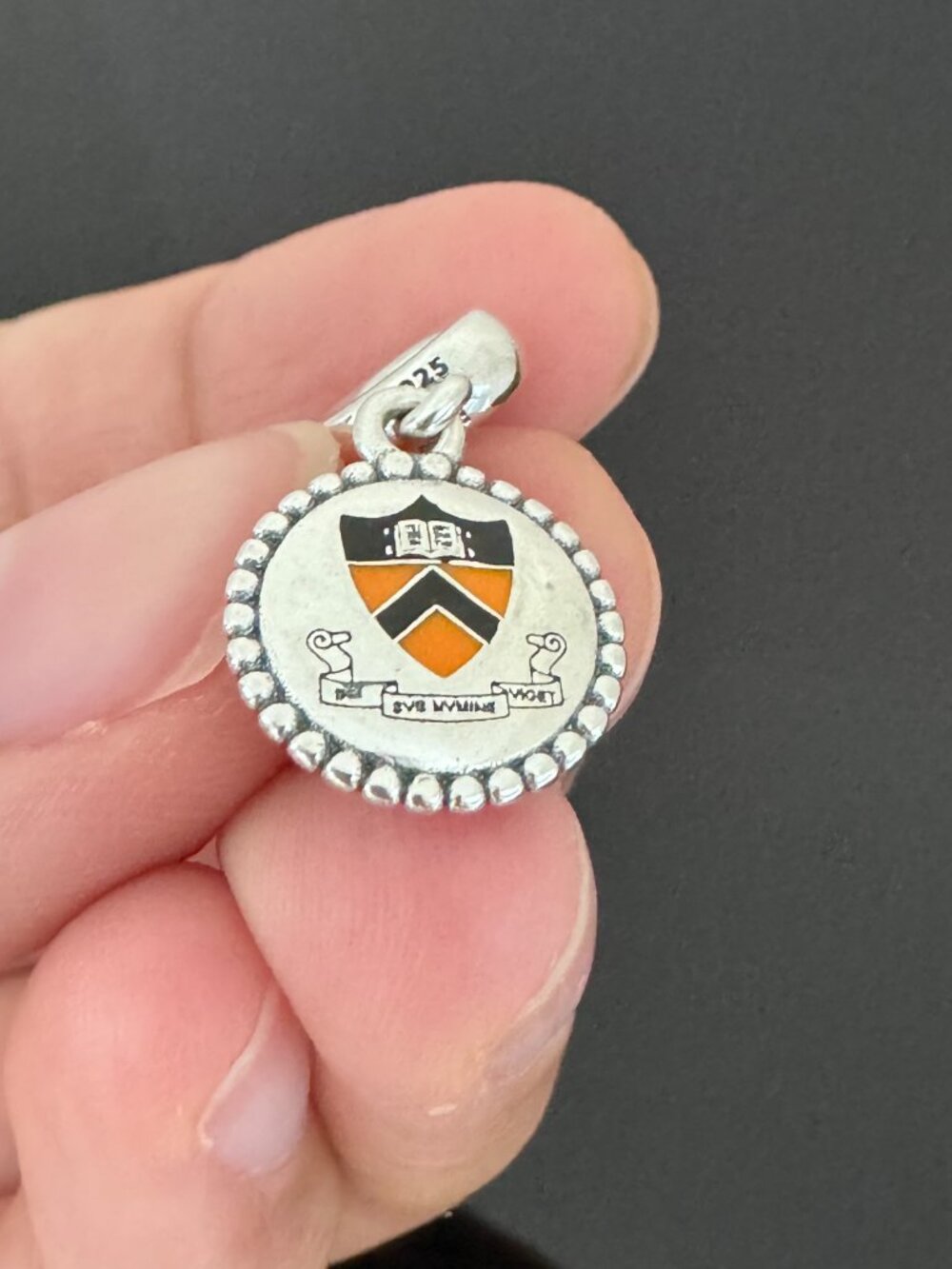 Pandora  Exclusive Charm